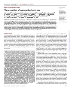 The evolution of mammalian brain size - UCL Discovery